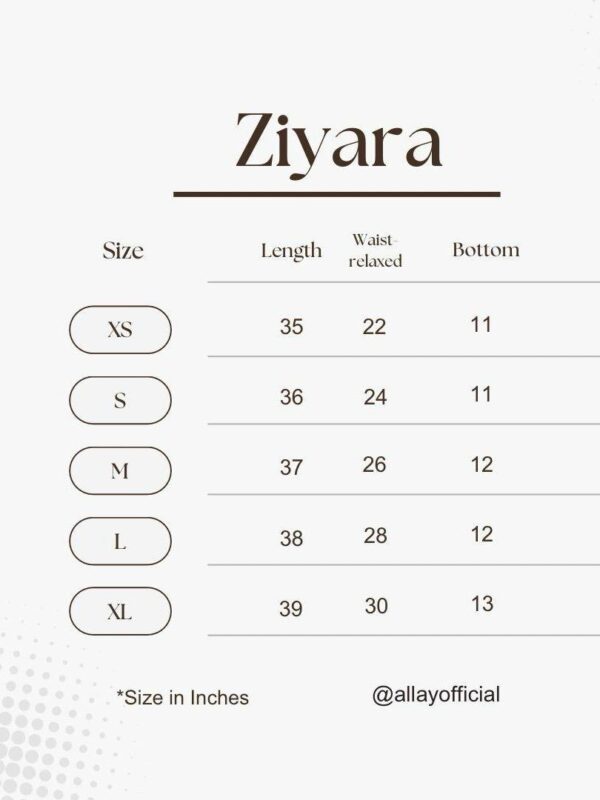 WhatsApp Image 2025-09-14 at 4.39.31 PM Ziyara